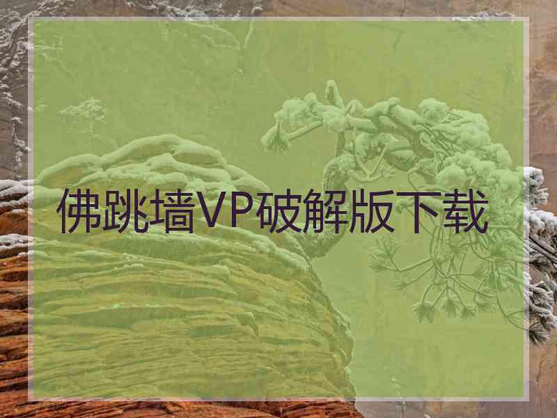 佛跳墙VP破解版下载