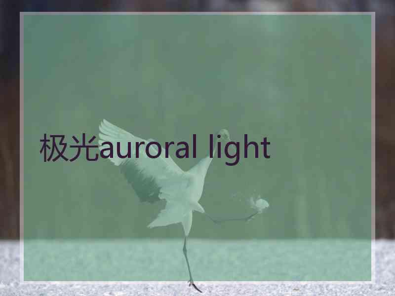 极光auroral light