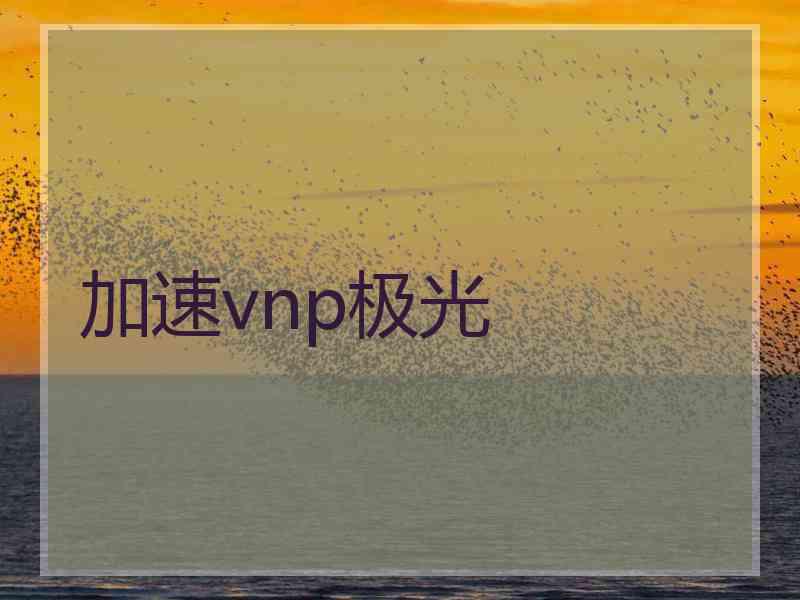 加速vnp极光
