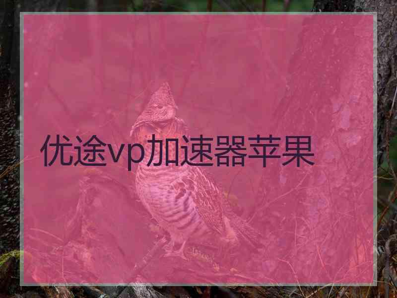 优途vp加速器苹果