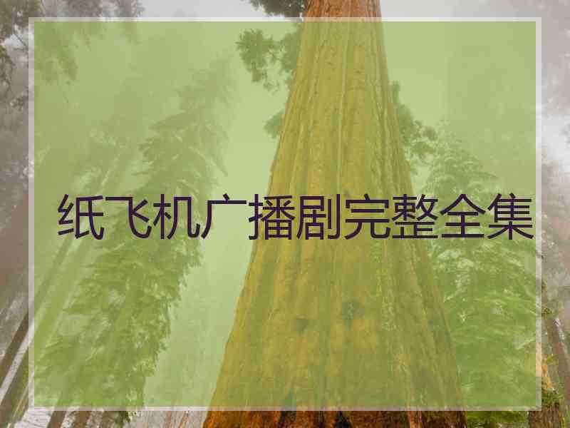 纸飞机广播剧完整全集