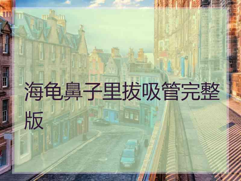 海龟鼻子里拔吸管完整版