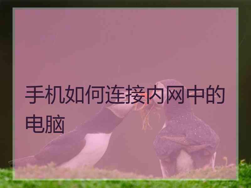 手机如何连接内网中的电脑
