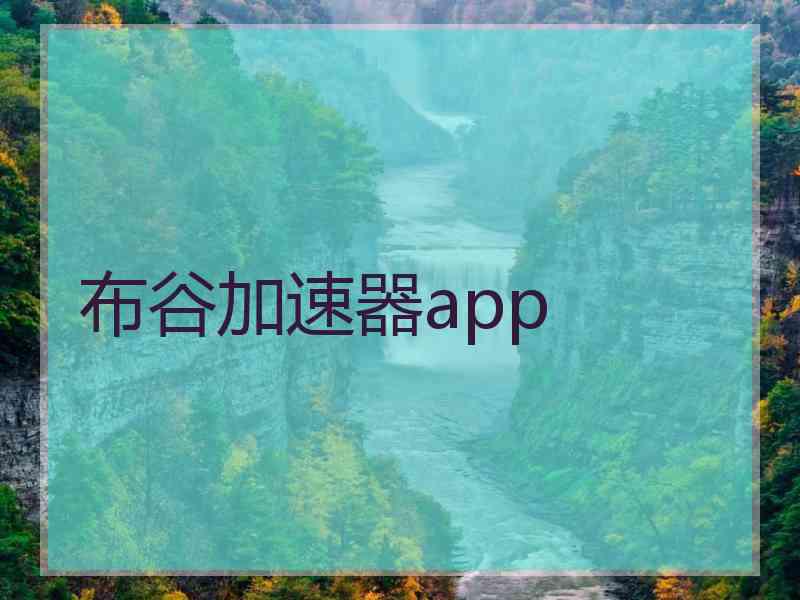 布谷加速器app