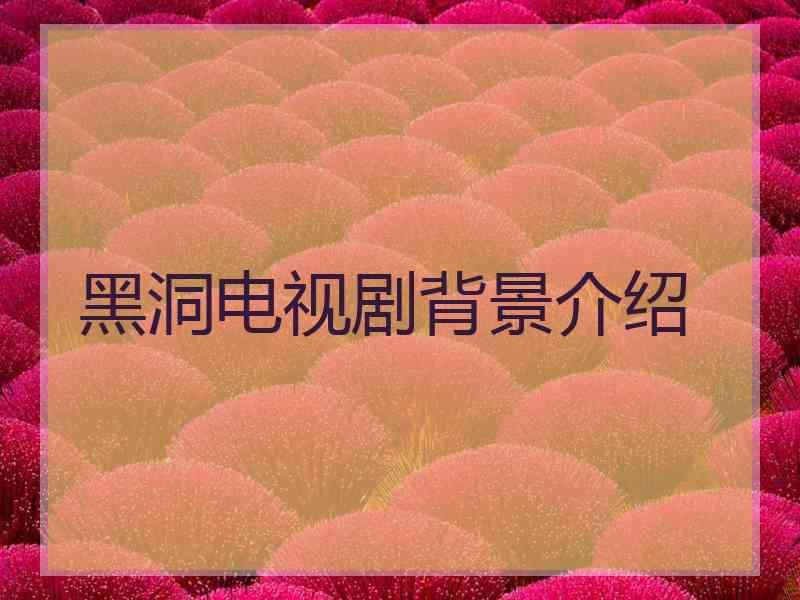 黑洞电视剧背景介绍