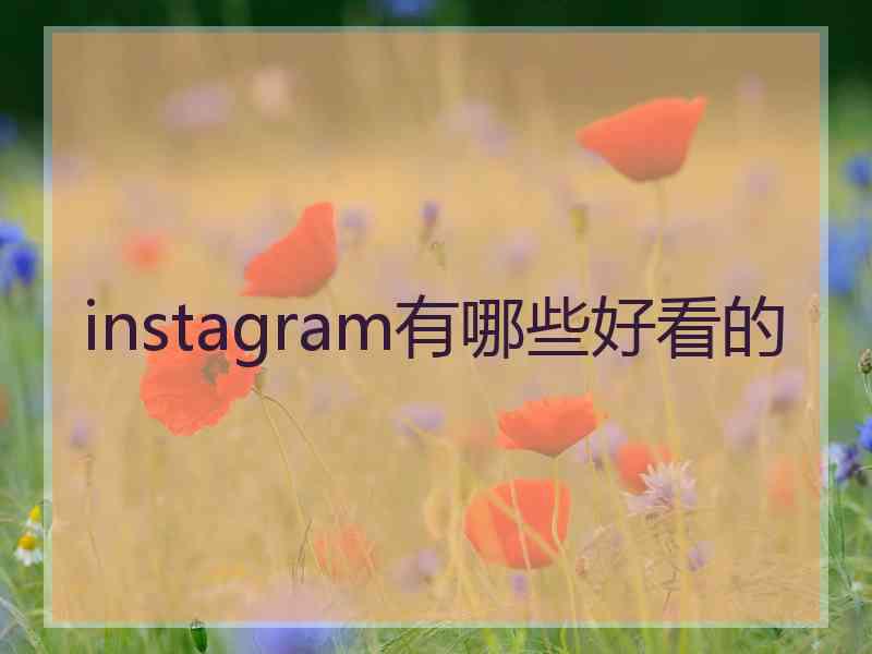 instagram有哪些好看的
