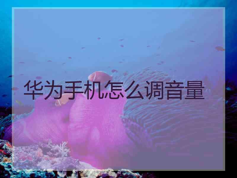 华为手机怎么调音量