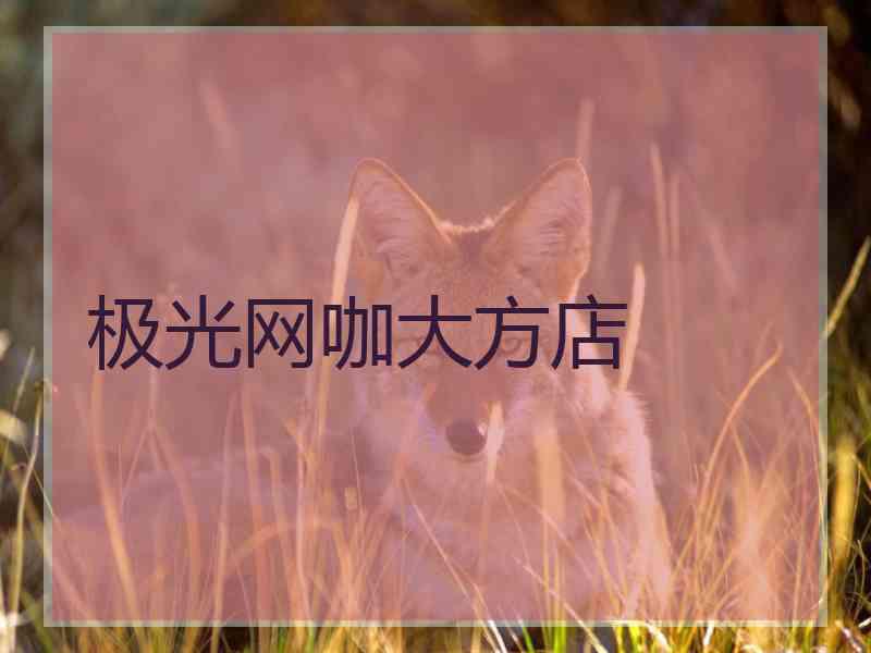 极光网咖大方店