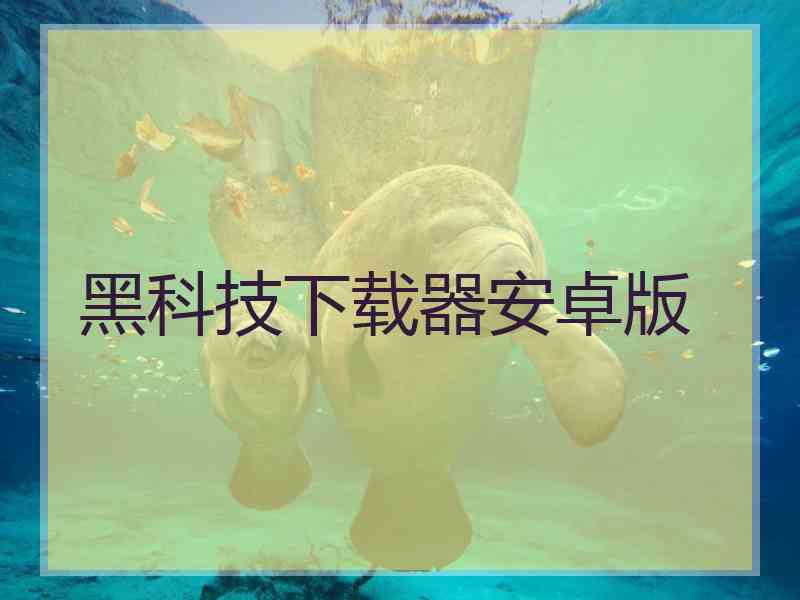 黑科技下载器安卓版