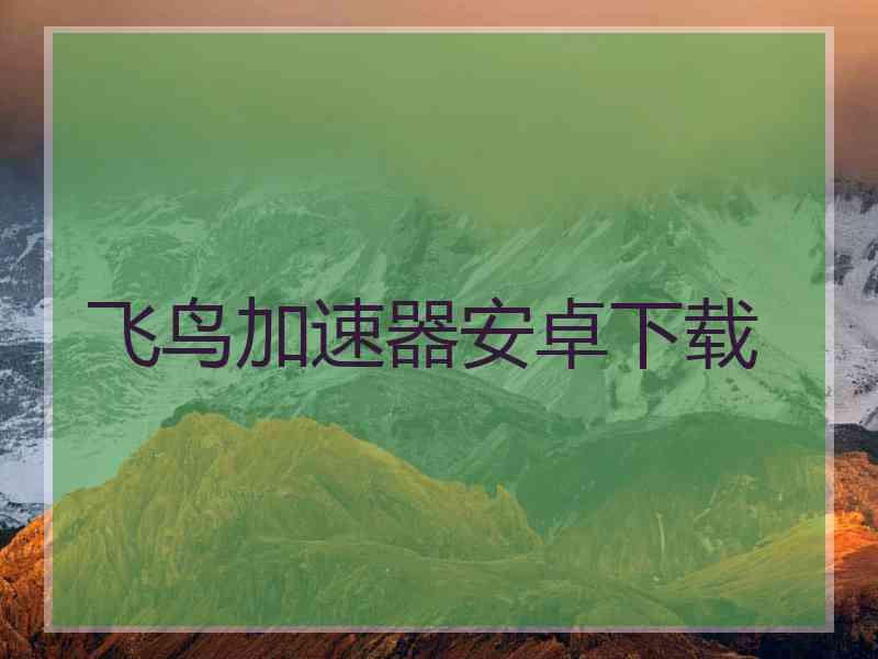 飞鸟加速器安卓下载