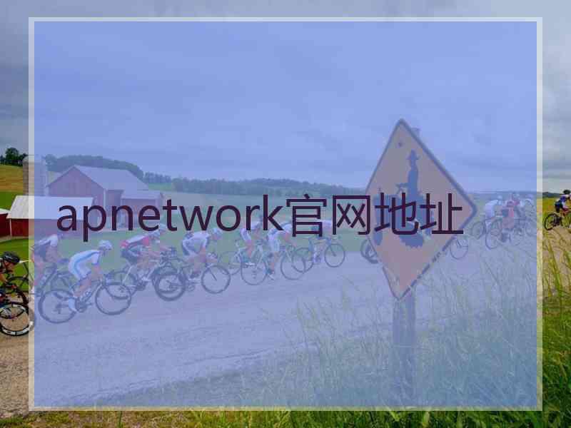 apnetwork官网地址