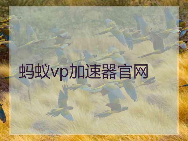蚂蚁vp加速器官网