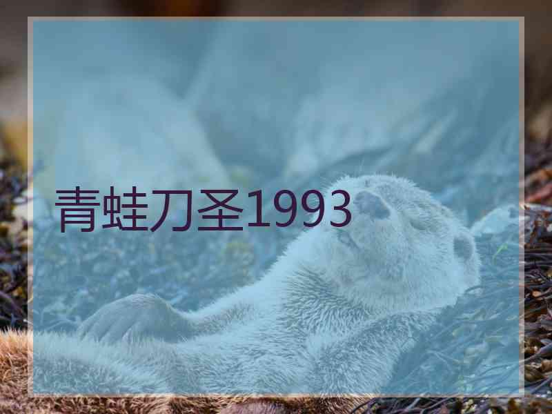 青蛙刀圣1993