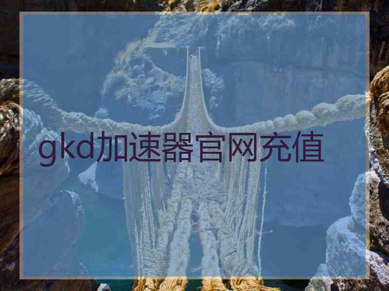 gkd加速器官网充值