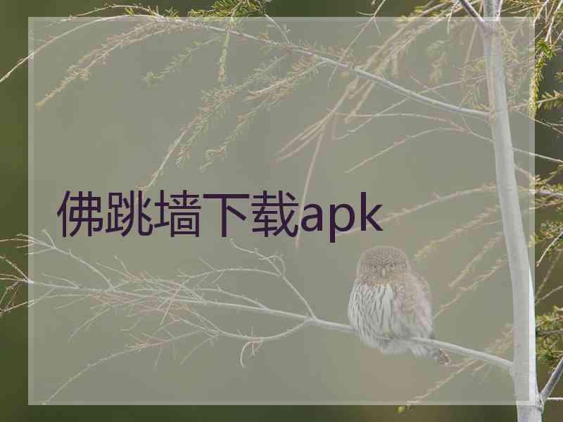 佛跳墙下载apk
