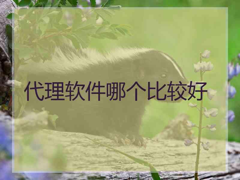 代理软件哪个比较好