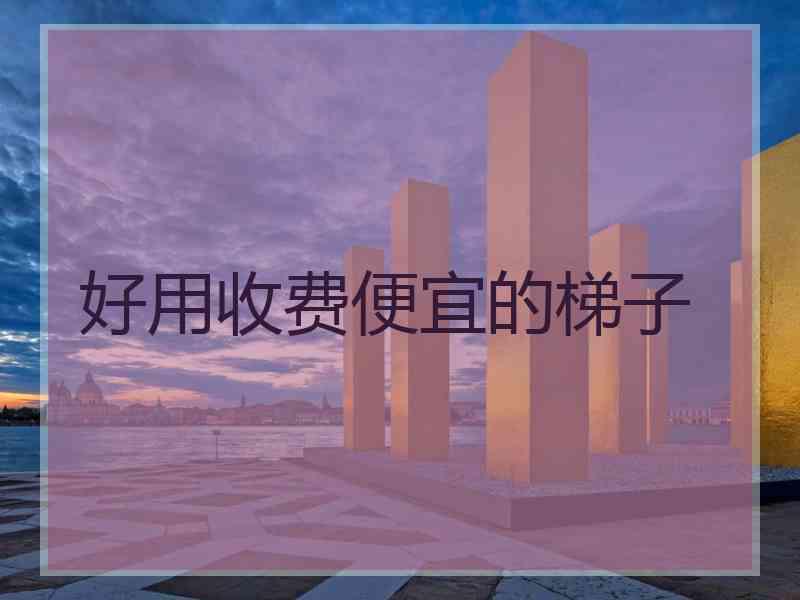 好用收费便宜的梯子