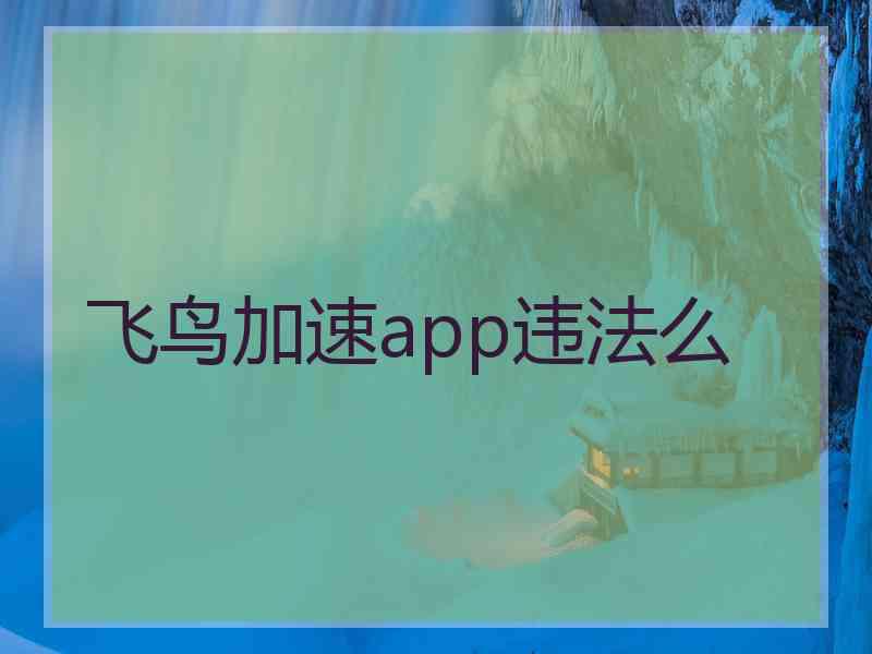 飞鸟加速app违法么