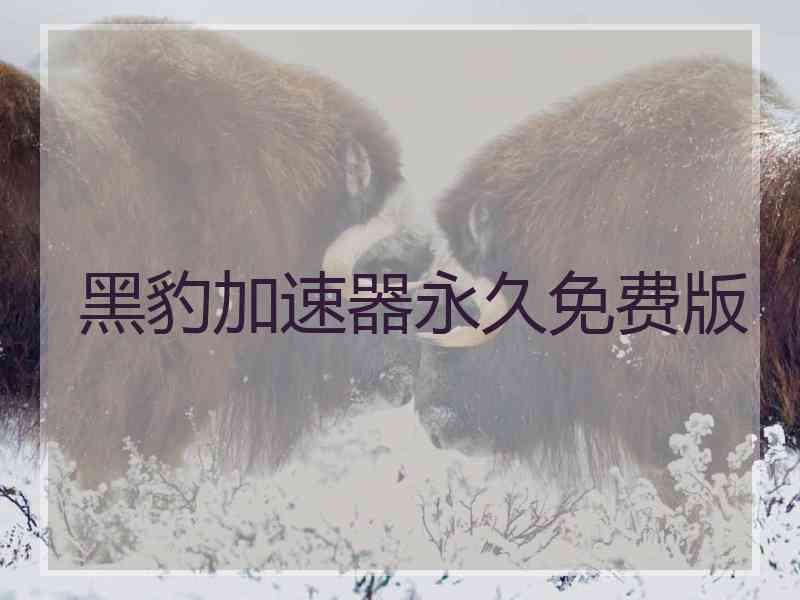 黑豹加速器永久免费版