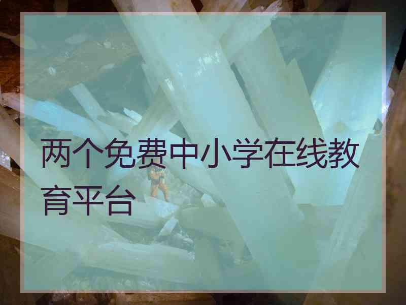 两个免费中小学在线教育平台