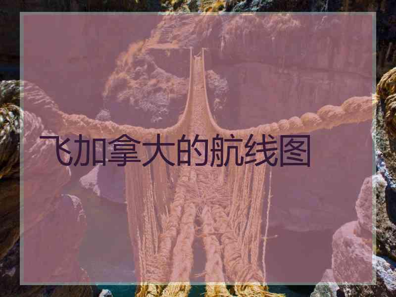 飞加拿大的航线图