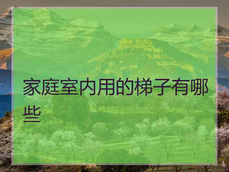家庭室内用的梯子有哪些