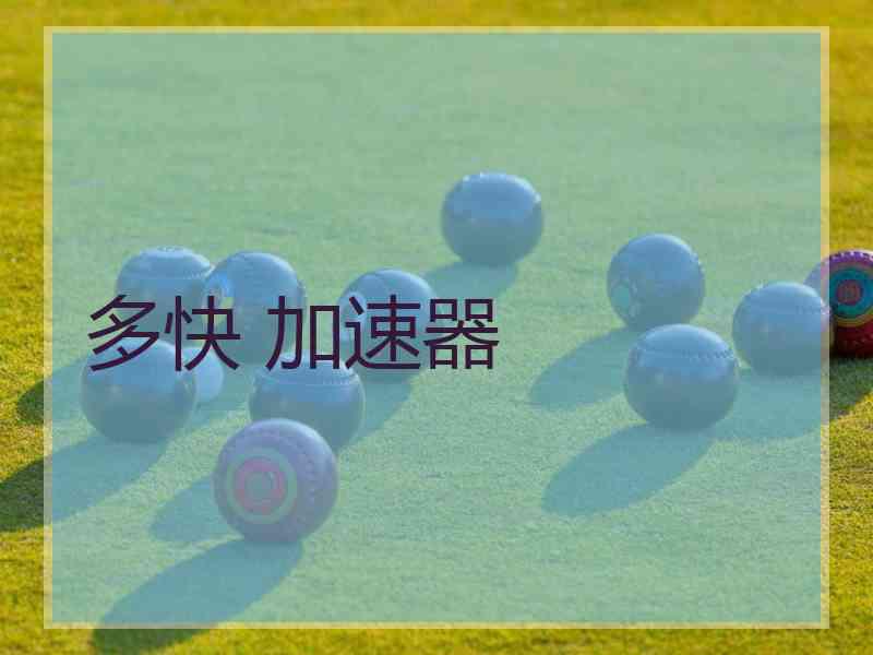 多快 加速器
