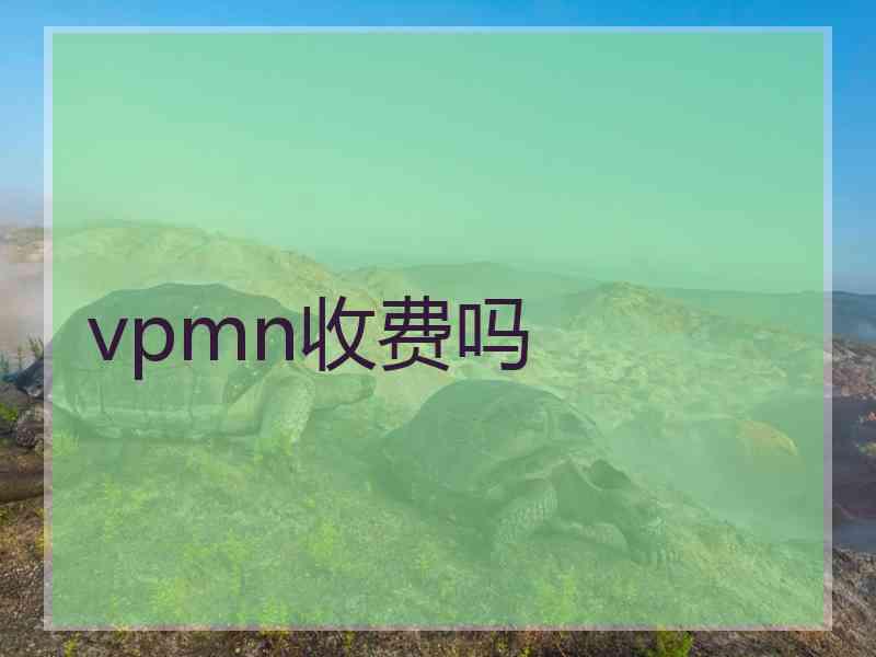 vpmn收费吗