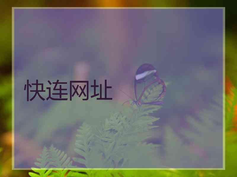 快连网址