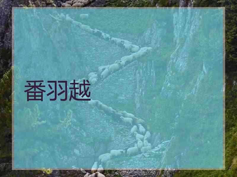 番羽越