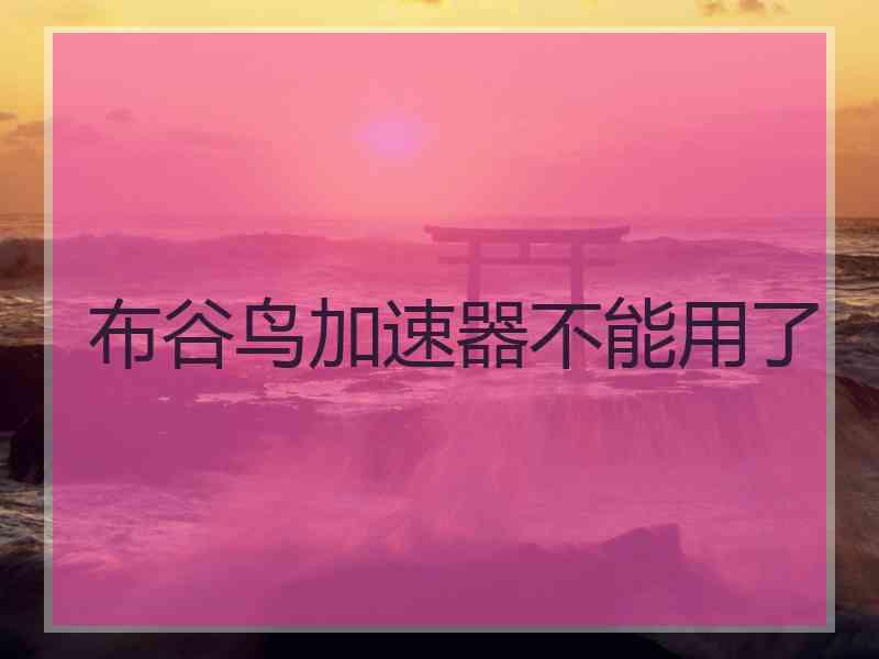 布谷鸟加速器不能用了