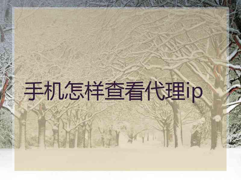 手机怎样查看代理ip