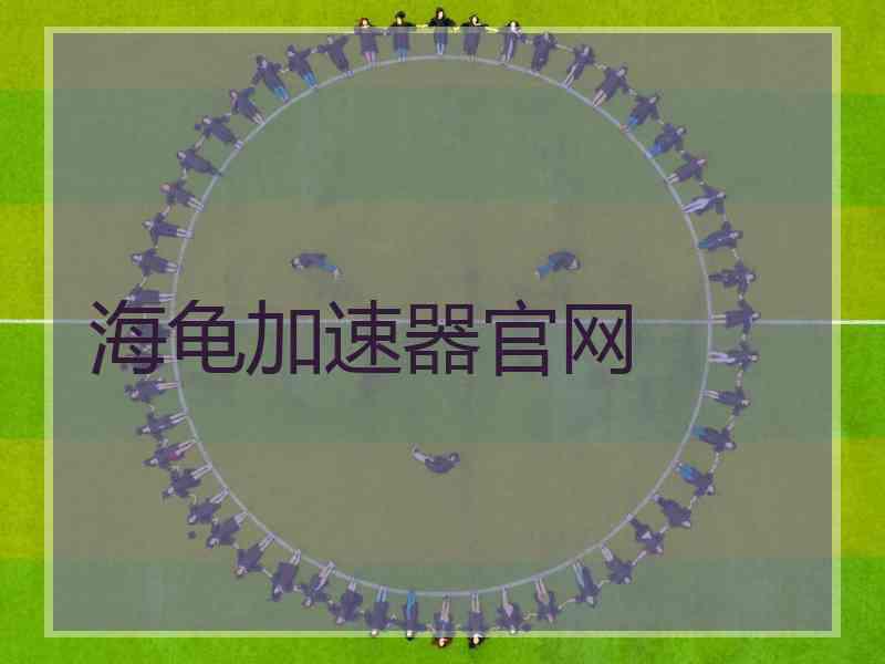 海龟加速器官网