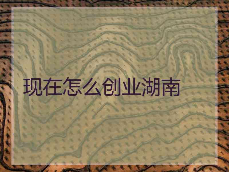 现在怎么创业湖南