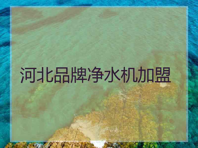 河北品牌净水机加盟