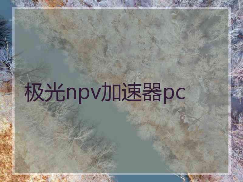 极光npv加速器pc