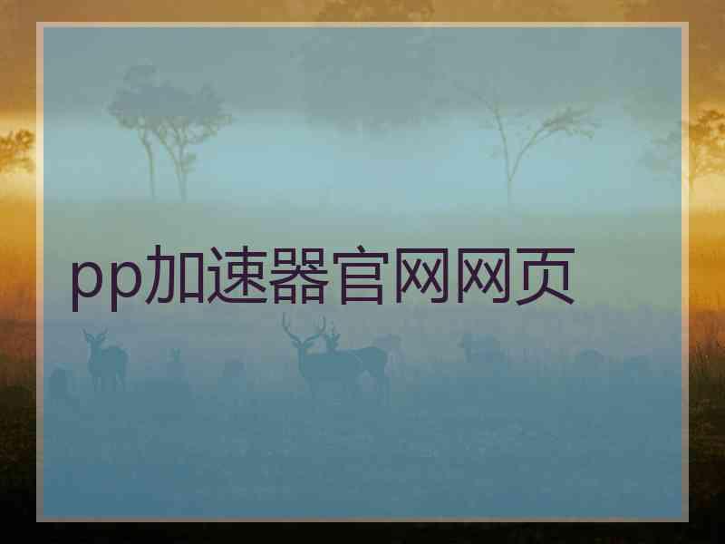 pp加速器官网网页