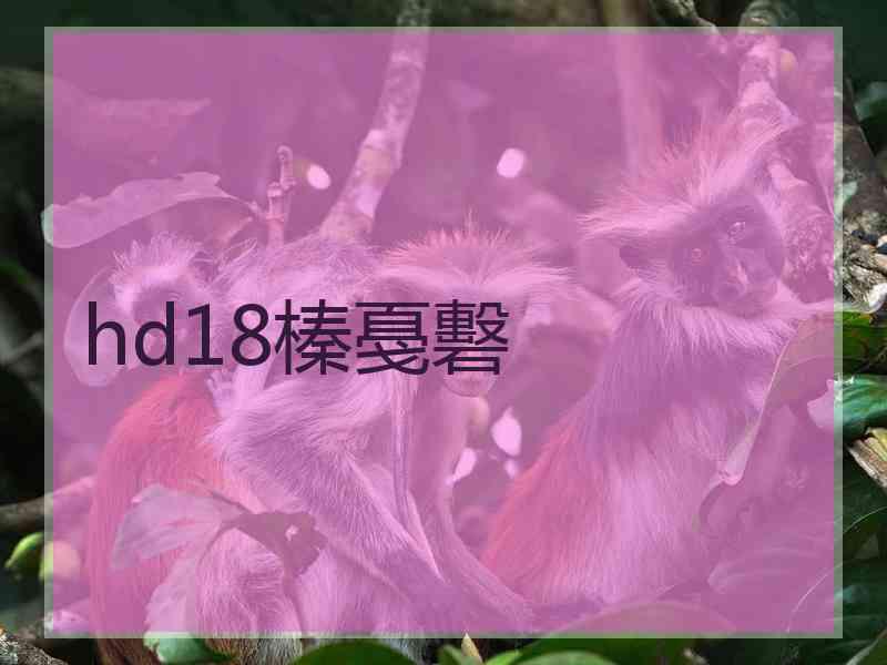 hd18榛戞礊