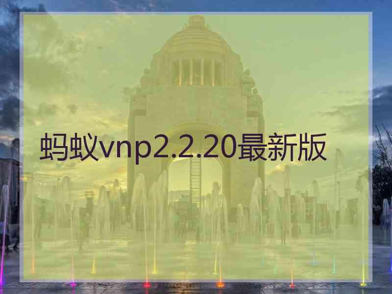 蚂蚁vnp2.2.20最新版