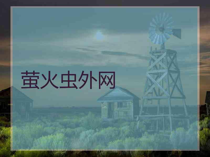 萤火虫外网