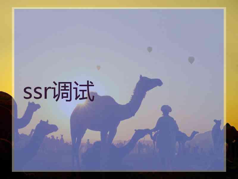 ssr调试