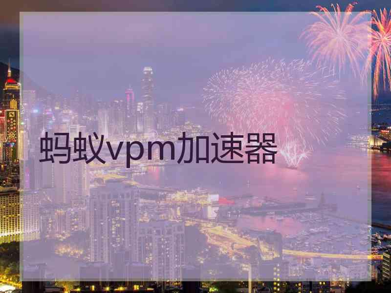 蚂蚁vpm加速器