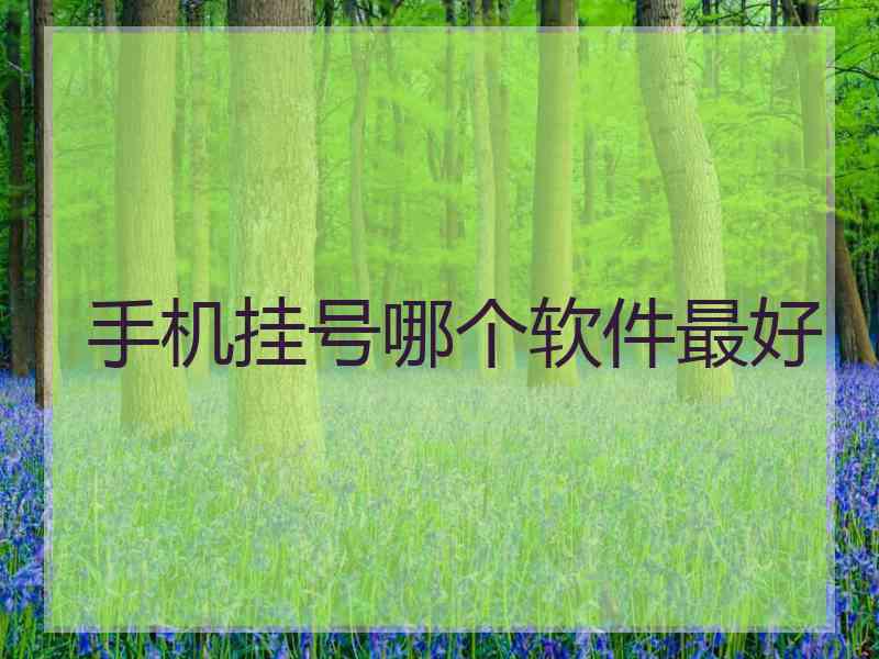 手机挂号哪个软件最好