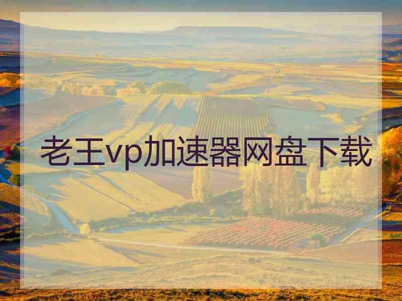 老王vp加速器网盘下载