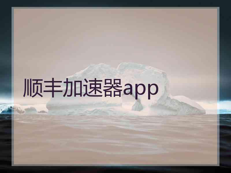 顺丰加速器app