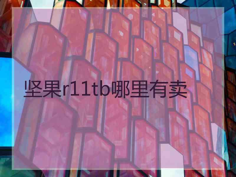 坚果r11tb哪里有卖