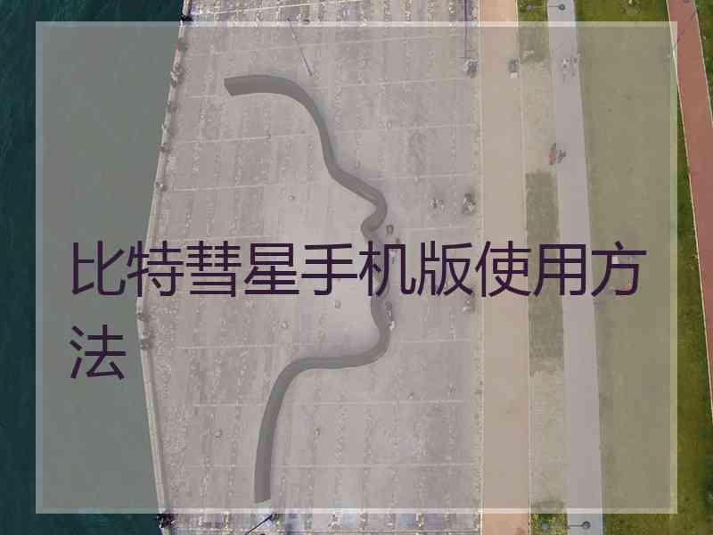 比特彗星手机版使用方法