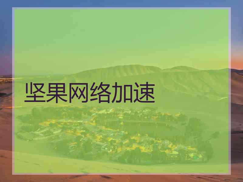 坚果网络加速