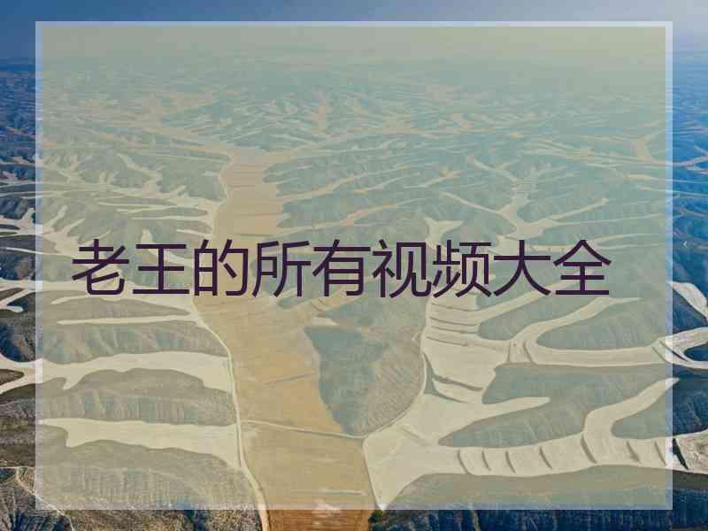 老王的所有视频大全