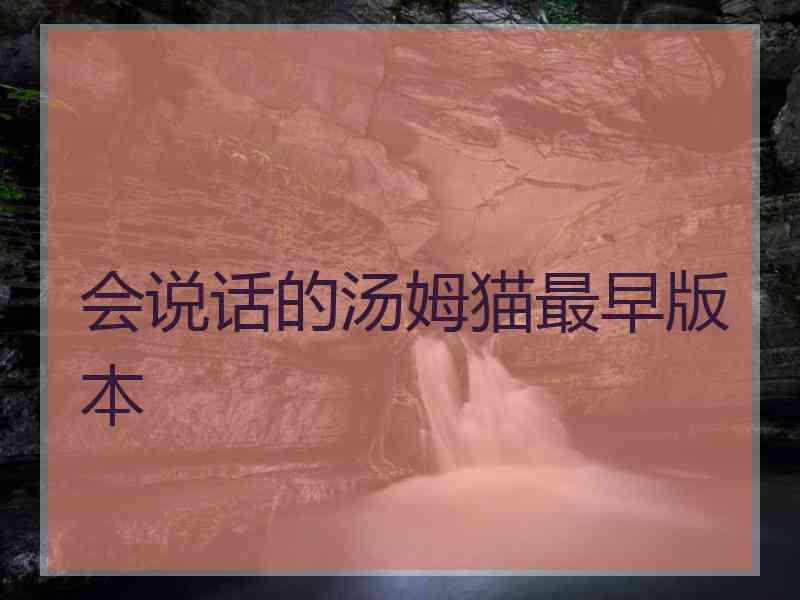 会说话的汤姆猫最早版本